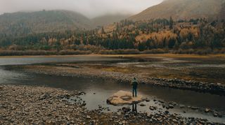 Subscribers for Newsletters Check published